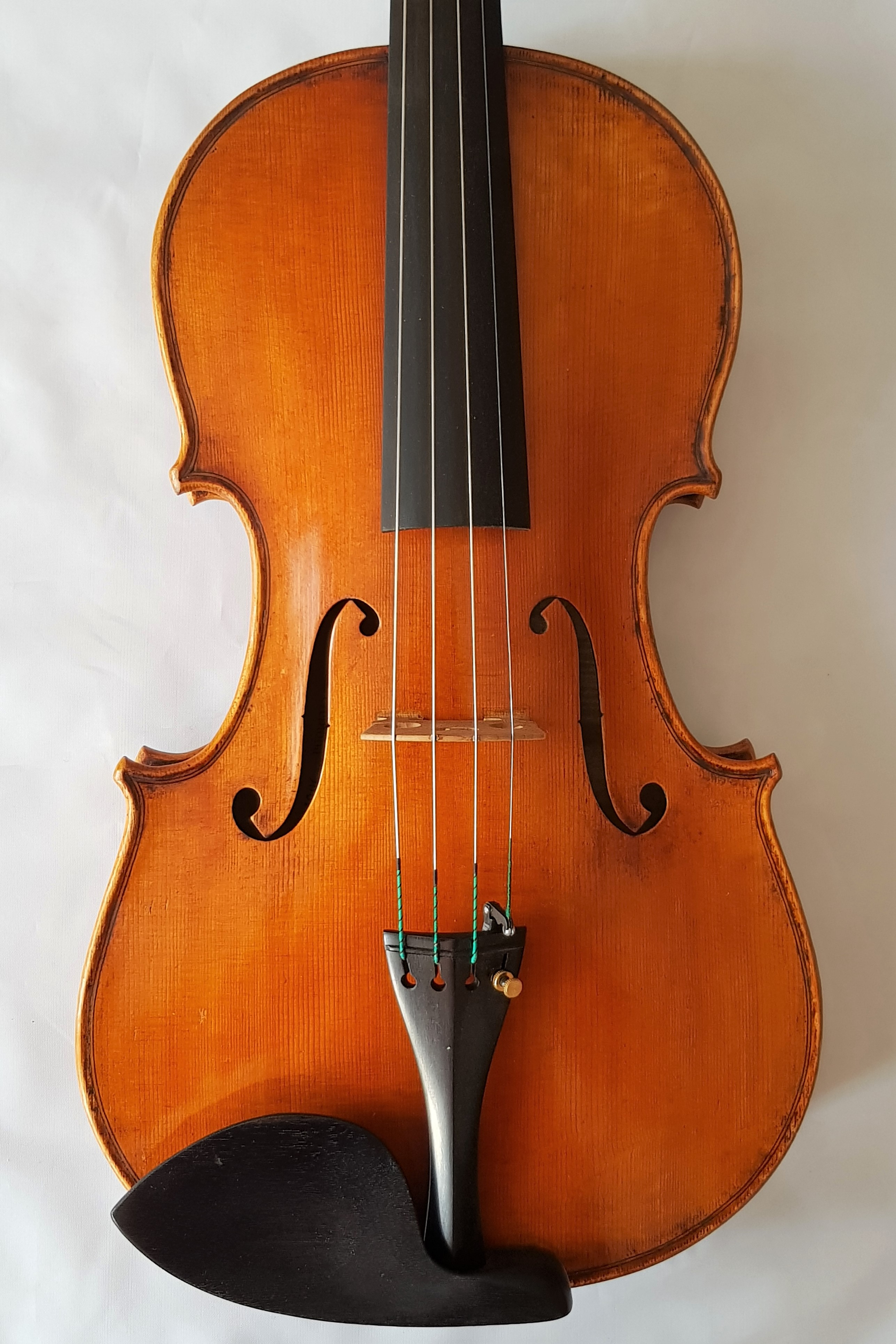 20180801_104712 Viola Giovanni Colonna Cremona