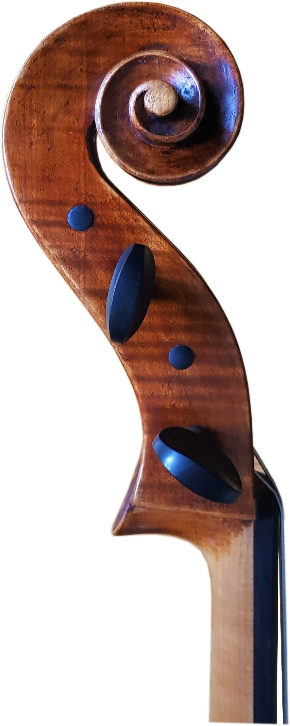 Cellokopfseite-1 Cello Bernd Hiller Kopf