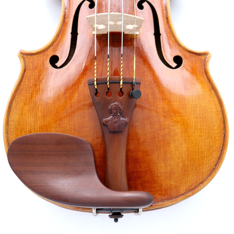 Violin tailpiece Beethoven