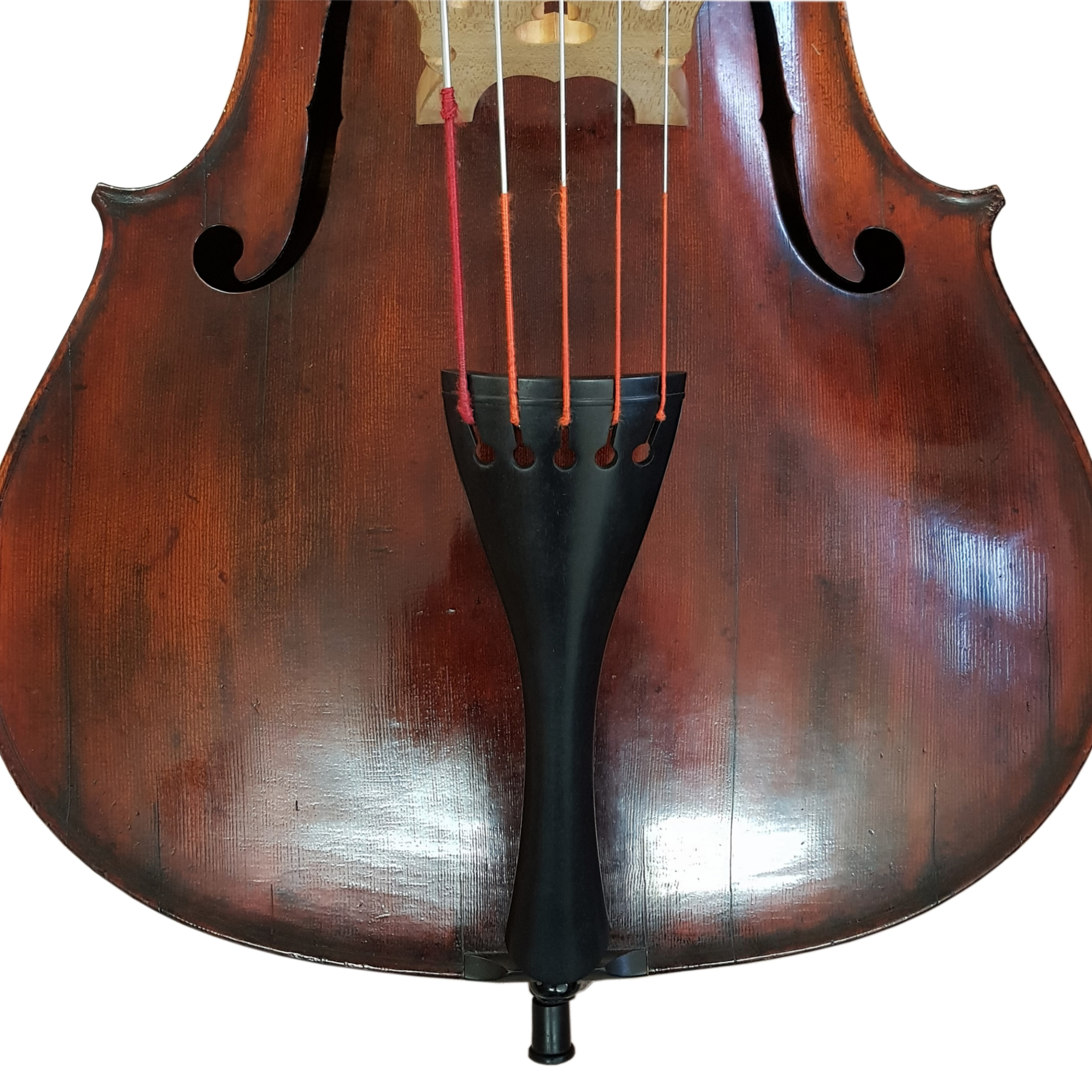 Basssaitenhalter-5-saitig-auf-Bass1 5 saitiger Basssaitenhalter