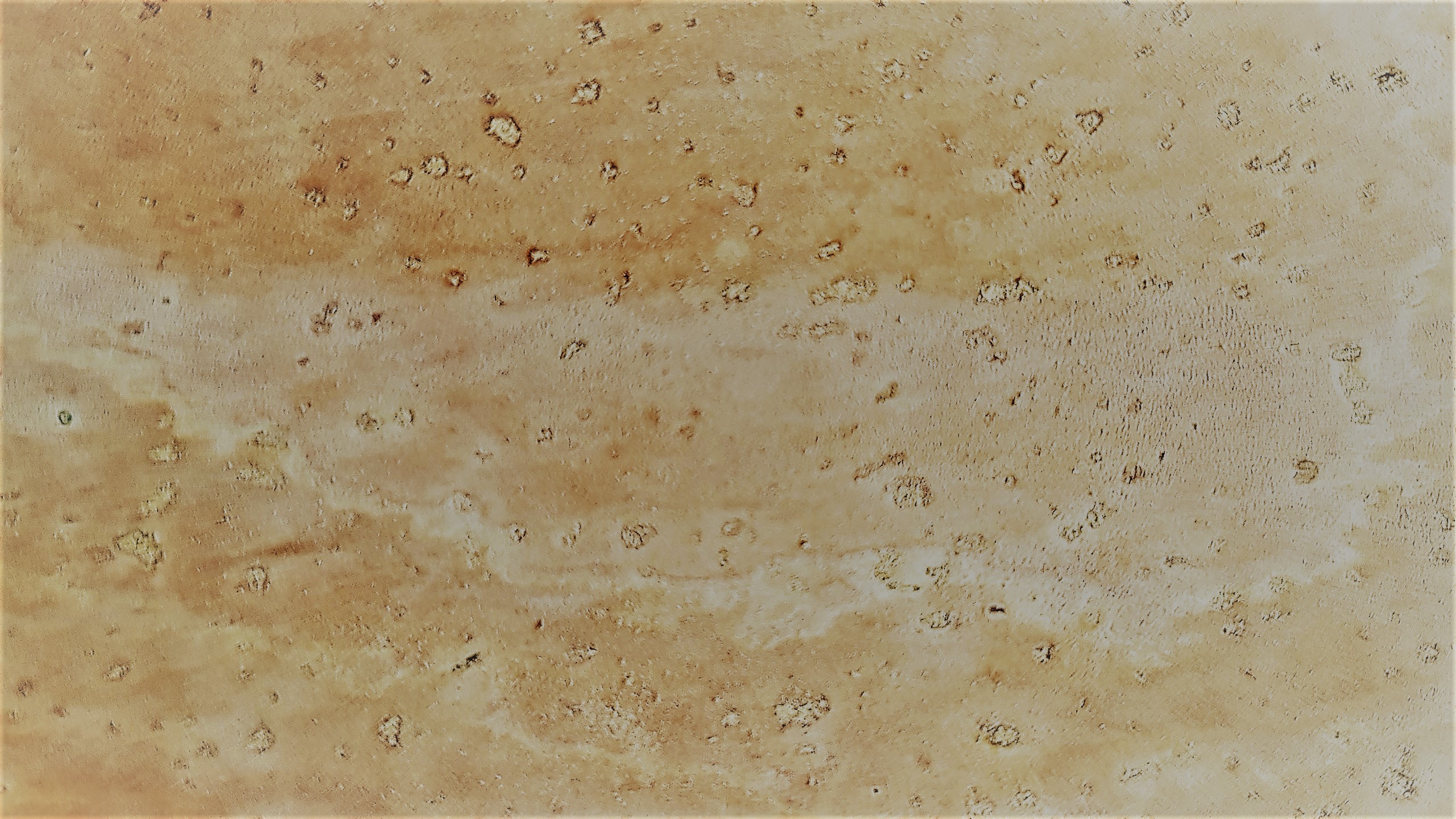 20180507_090356OSfmBgxJEgI9X Cork from Portugal