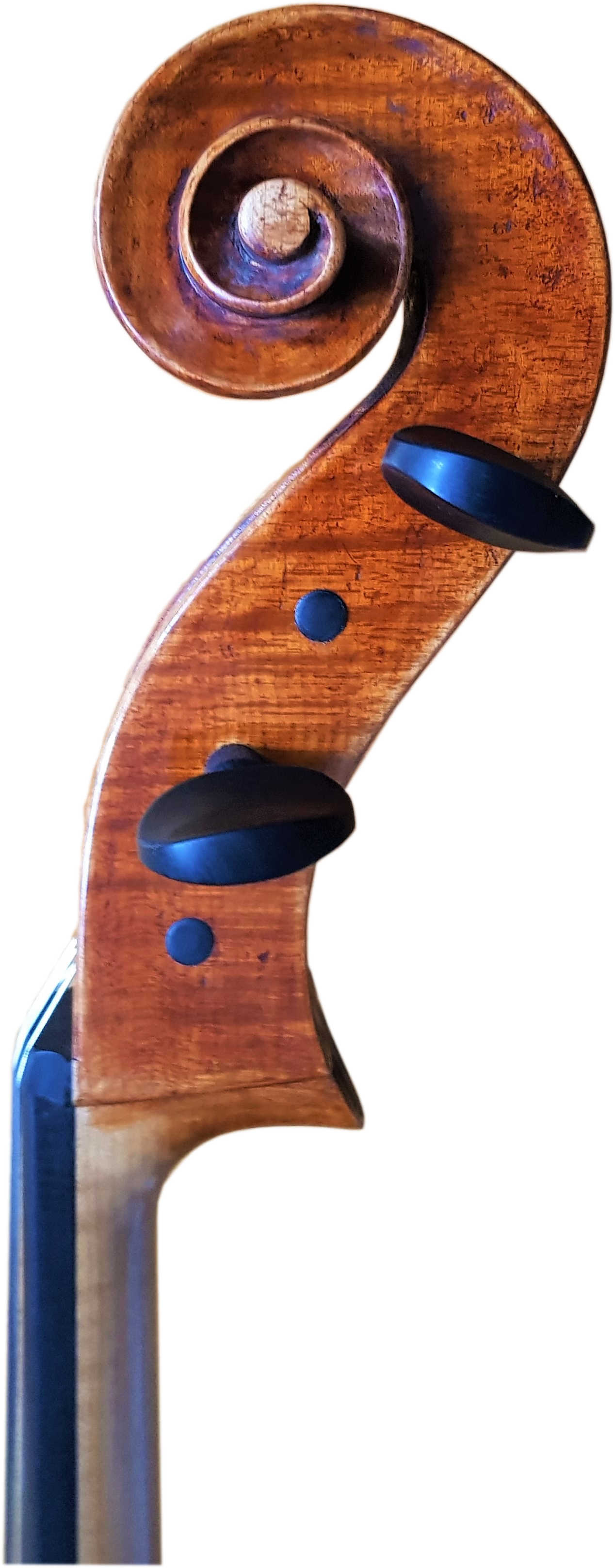 Cellokopfseite-2 Cello Bernd Hiller Kopf