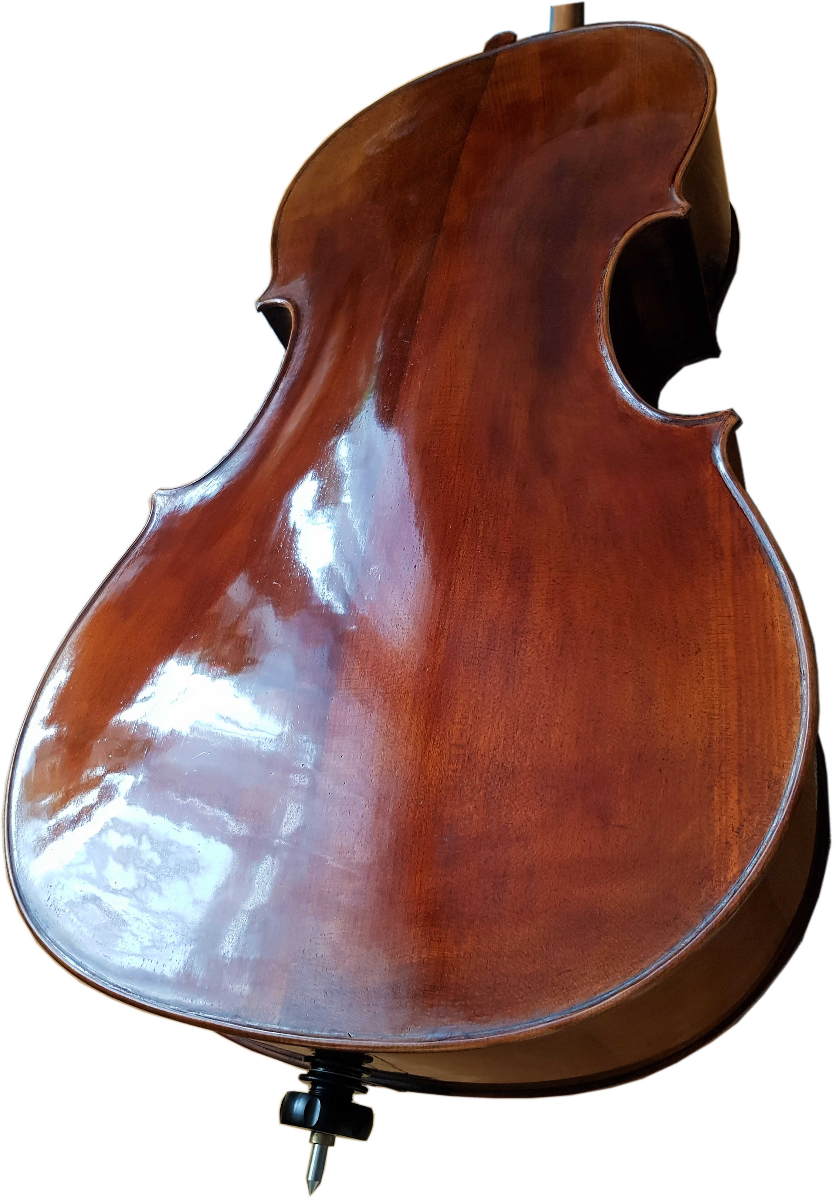 Celloboden-schraeg-unten